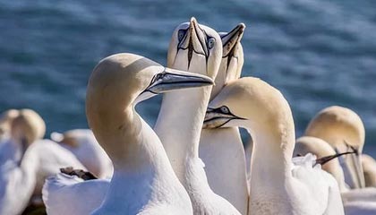 丽江最新怎么提现公积金卡里的钱方法分析(最方便真实的丽江怎么将公积金提现方法)