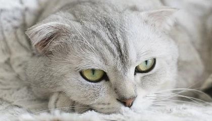 丽江最新公积金卡提取现金方法app方法分析(最方便真实的丽江公积金卡怎样从手机里取出来?方法)