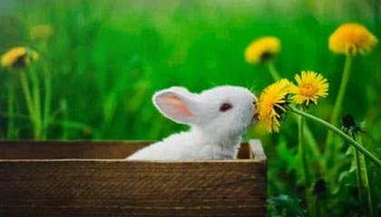 丽江最新公积金提取中介联系微信方法分析(最方便真实的丽江提取公积金的中介是如何操作的方法)